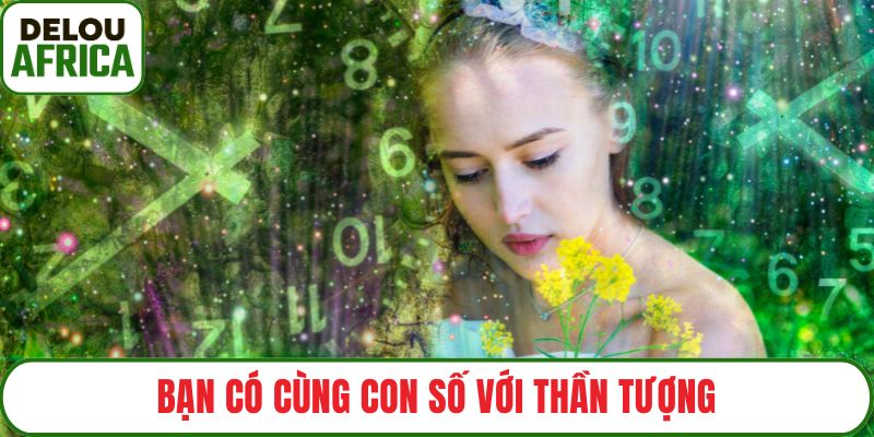 Bạn có cùng con số với thần tượng