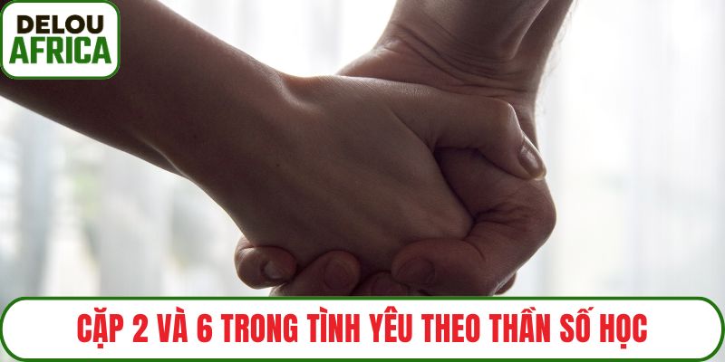 Cặp 2 và 6 trong tình yêu theo thần số học