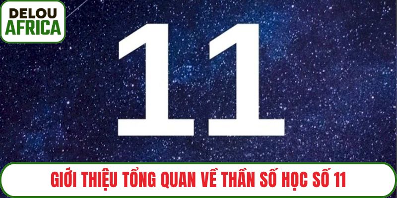 Giới thiệu tổng quan về thần số học số 11