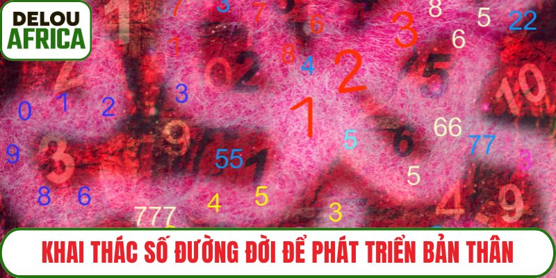 Khai thác số đường đời để phát triển bản thân