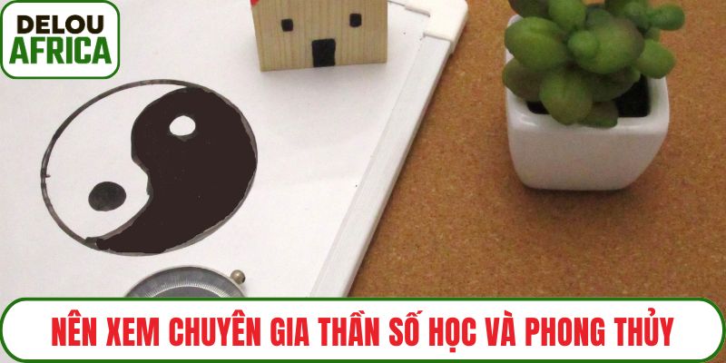 Nên xem chuyên gia thần số học và phong thủy