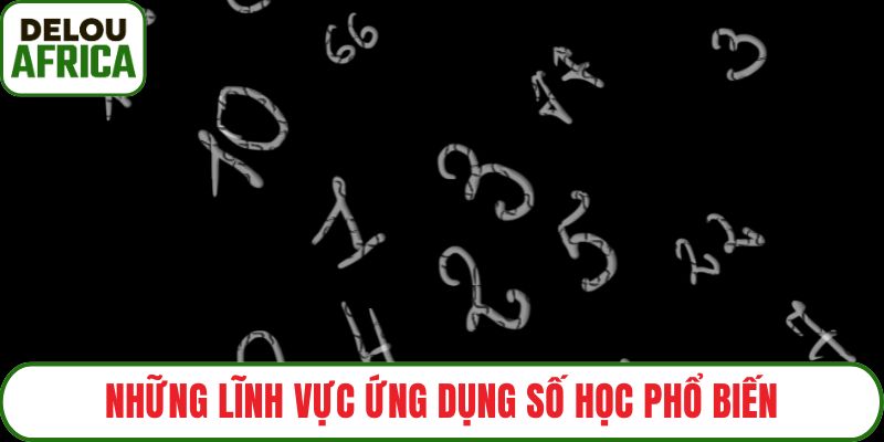 Những lĩnh vực ứng dụng số học phổ biến