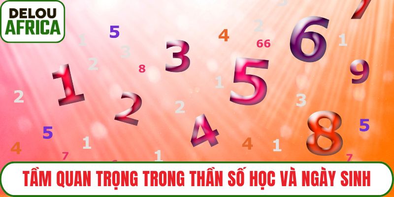 Tầm quan trọng trong thần số học và ngày sinh