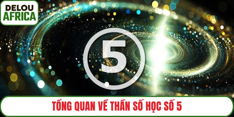 Tổng quan về thần số học số 5