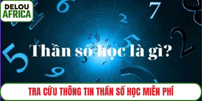 Tra cứu thông tin thần số học miễn phí